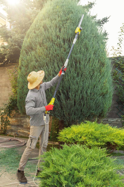 Best Lawn Watering Services  in Utica, OH